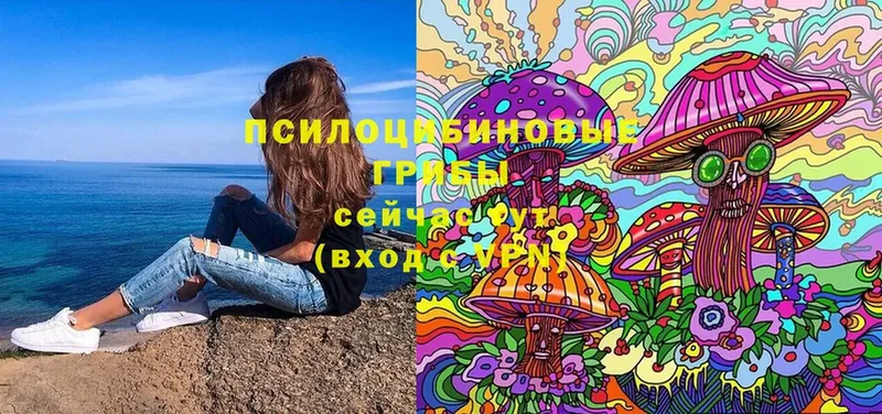 купить закладку  Мегион  Галлюциногенные грибы Cubensis 